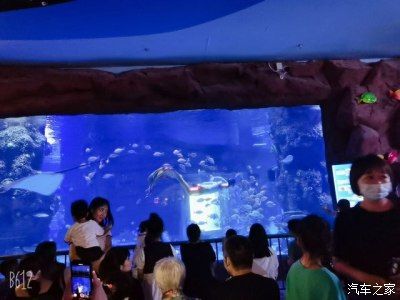 用戶反饋對水族館運(yùn)營影響（用戶反饋對水族館的影響） 水族館百科（水族館加盟） 第2張