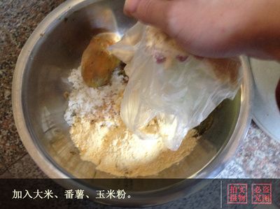 黃金貓魚幼魚飼料自制方法（自制黃金貓魚幼魚飼料的方法） 黃金貓魚百科 第3張