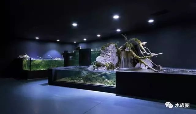 水族館內(nèi)巖石造景建議（水族箱巖石造景案例分享，）