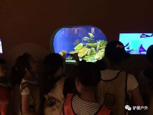 夜間水族館特別活動內(nèi)容（夜間水族館特別活動是一項(xiàng)吸引游客的獨(dú)特體驗(yàn)）