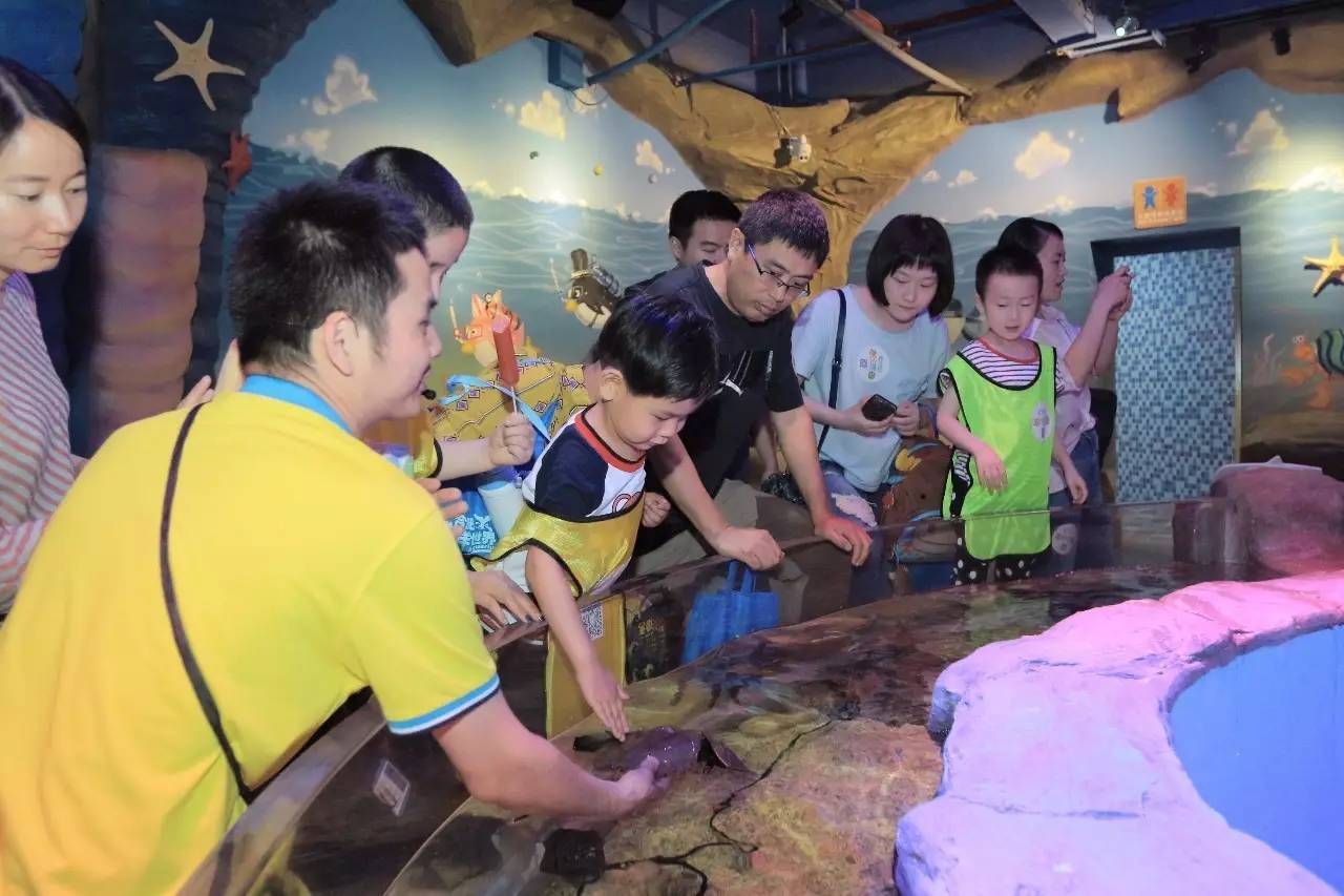 祥龍水族館親子活動時間表（祥龍水族館為家庭提供了一系列親子活動時間表，旨在促進(jìn)家庭成員之間的互動和理解）