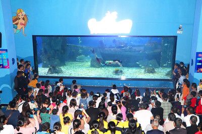 祥龍水族館親子活動時間表（祥龍水族館為家庭提供了一系列親子活動時間表，旨在促進(jìn)家庭成員之間的互動和理解）