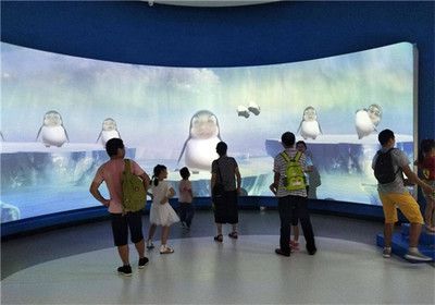 祥龍水族館VR體驗(yàn)開放時(shí)間（祥龍水族館vr體驗(yàn)） 水族館百科（水族館加盟） 第6張