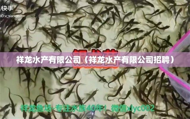 祥龍魚(yú)場(chǎng)有限公司招聘信息（祥龍魚(yú)場(chǎng)有限公司招聘簡(jiǎn)歷）