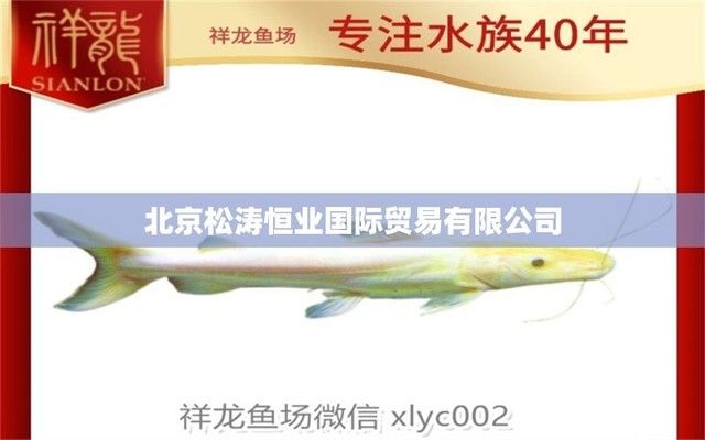 祥龍水族館客戶滿意度調(diào)查（祥龍水族館客戶滿意度調(diào)查研究）