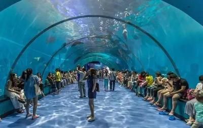 水族館隧道如何增強(qiáng)游客互動(dòng)（水族館隧道vr體驗(yàn)） 水族館百科（水族館加盟） 第4張