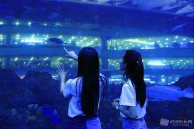 水族館行業(yè)市場競爭現(xiàn)狀（中國水族館行業(yè)市場競爭現(xiàn)狀分析水族館行業(yè)未來增長點探究） 水族館百科（水族館加盟） 第5張