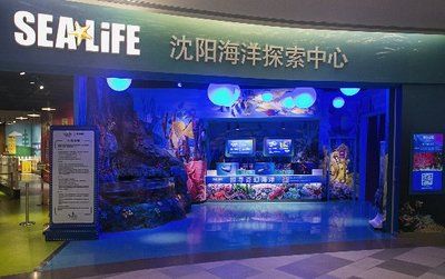 祥龍水族館品牌影響力（如何進一步提升祥龍水族館的品牌影響力）