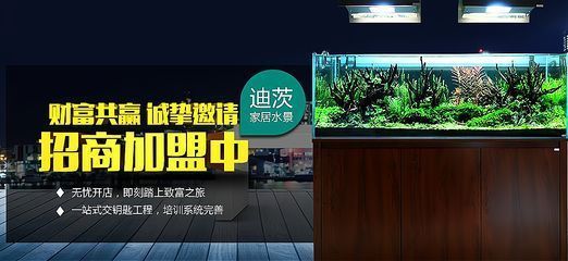 祥龍水族館加盟優(yōu)勢分析（祥龍水族館加盟優(yōu)勢）