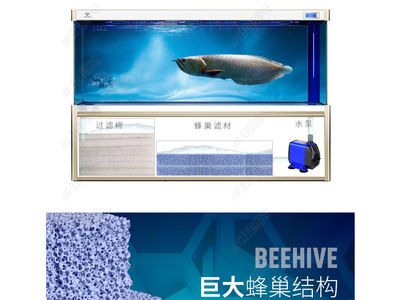 祥龍水族濾材適用場景案例（祥龍水族濾材在家庭水族箱中的應(yīng)用） 水族館百科（水族館加盟） 第5張