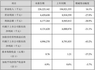 金龍魚一年掙多少錢（金龍魚2019年一年掙多少錢？） 龍魚百科 第4張