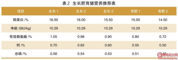 龍魚 手機(jī)壁紙（關(guān)于龍魚壁紙的問題） 水族問答 第1張