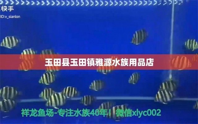 龍魚怎么拉屎（如何判斷龍魚是否正在正常排便，以避免可能的問題） 水族問答