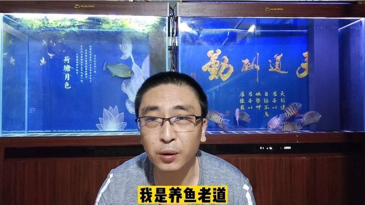 龍魚為什么趴缸底（如何判斷龍魚是否因?yàn)榄h(huán)境不適而趴在缸底？） 水族問答 第2張