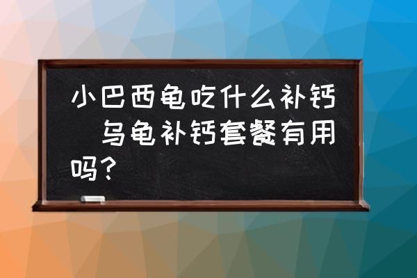 銀龍魚如何喂養(yǎng)小魚視頻（如何喂養(yǎng)銀龍魚和小魚） 水族問(wèn)答 第2張