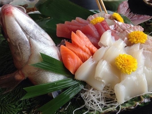 雷龍魚都喂什么（如何自制雷龍魚飼料，雷龍魚活餌喂養(yǎng)的優(yōu)缺點）