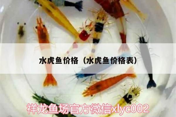 金龍魚私企（金龍魚私企在市場中的地位如何？） 水族問答 第2張