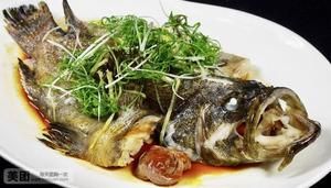 龍魚(yú)的吃法（龍魚(yú)烹飪技巧分享，龍魚(yú)食譜創(chuàng)新做法） 龍魚(yú)百科 第2張