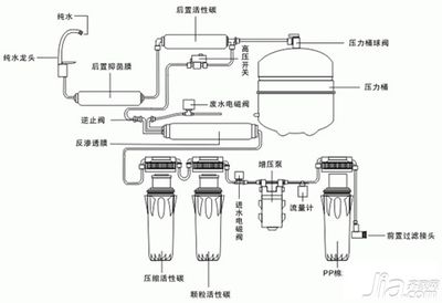 金龍魚(yú)品牌的由來(lái)（金龍魚(yú)品牌在市場(chǎng)上的定位是怎樣的？） 水族問(wèn)答 第1張