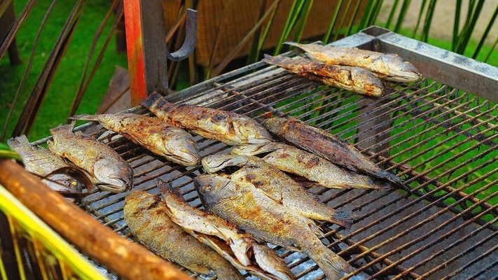 什么叫白子黃化銀龍魚（如何辨別優(yōu)質(zhì)白子黃化銀龍魚） 龍魚百科 第2張