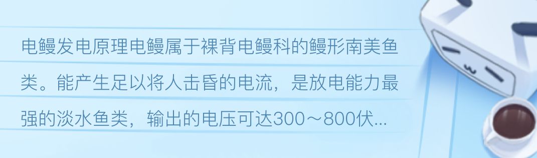 電鰻與其他電魚的電場差異 龍魚百科 第2張