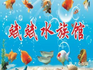 適合水族館的文案（海洋生物多樣性介紹）