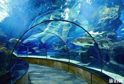 水族館制作廠家地址（水族館制作廠家地址介紹）