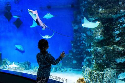 水族館里的魚有哪些（關于水族館里的魚類介紹） 水族館百科（水族館加盟） 第4張