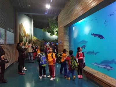 水族館里的魚有哪些（關(guān)于水族館里的魚類介紹）