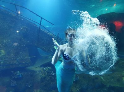 水族館有什么項(xiàng)目可以做（水族館主要項(xiàng)目介紹） 水族館百科（水族館加盟） 第5張