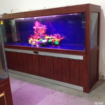 水族館買魚缸貴嗎（水族館的魚缸價格是多少）