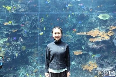 開水族館需要多少錢一個(gè)月（開設(shè)一個(gè)水族館所需費(fèi)用的大概概覽）