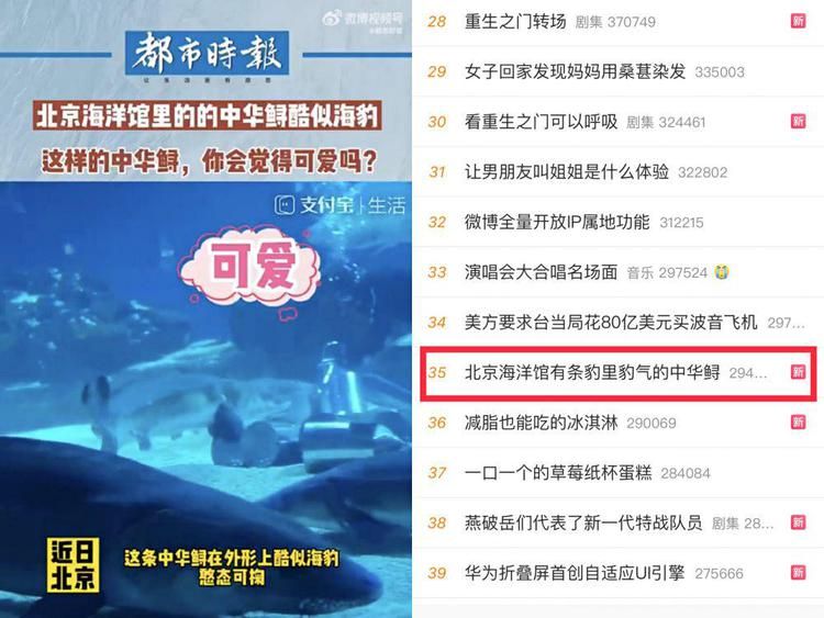 開水族館需要多少錢一個(gè)月（開設(shè)一個(gè)水族館所需費(fèi)用的大概概覽） 水族館百科（水族館加盟） 第4張