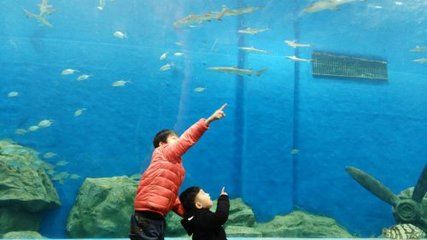 水族館名稱大全（全球知名的水族館名稱）