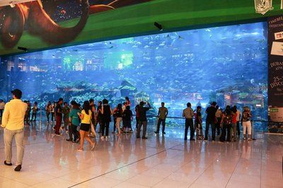 水族館是賣(mài)什么的啊知乎（北京動(dòng)物園水族館）