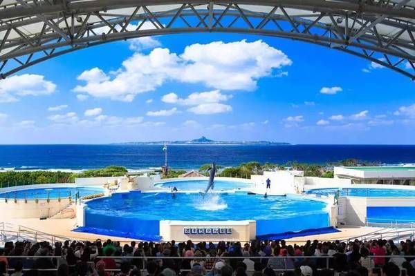 美麗海水族館官網(wǎng)首頁（沖繩美麗海水族館）