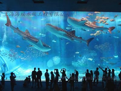 水族館是什么行業(yè)（水族館行業(yè)市場規(guī)模分析）