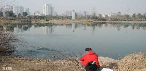 小龍魚是淡水魚嗎（小龍魚是淡水魚嗎？） 水族問答 第1張