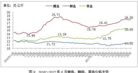 白色金龍魚(yú)價(jià)格（如何判斷一條白色金龍魚(yú)是否物有所值，需要綜合考慮這些因素） 水族問(wèn)答 第1張