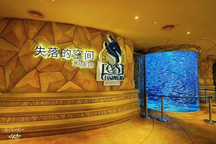 水族館店鋪名字大全（水族館名字大全）