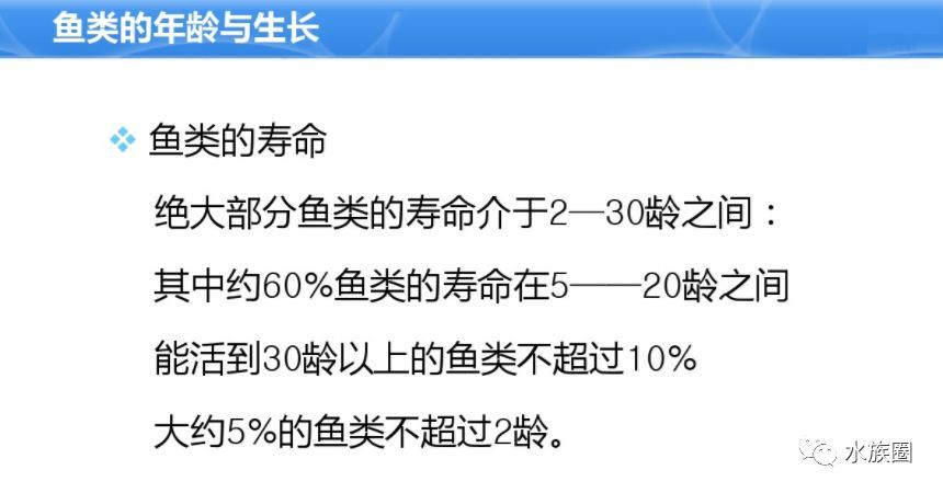 水族館魚類介紹大全視頻講解（“水族館魚類介紹大全視頻講解詳情”視頻講解詳情）