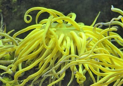 祥龍水族館門票價格及優(yōu)惠（祥龍水族館的門票價格及優(yōu)惠信息）