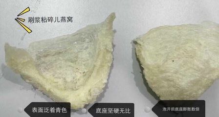 辨別燕窩真假的綜合方法（燕窩真?zhèn)舞b別） 馬來西亞燕窩 第4張