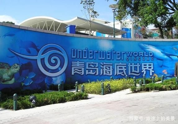 中國(guó)最大的水族館在哪里?。ㄖ袊?guó)最大的水族館——長(zhǎng)隆海洋王國(guó)） 水族館百科（水族館加盟） 第5張