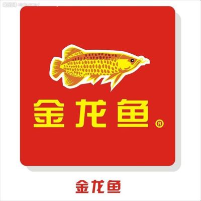 金龍魚 知乎（金龍魚在市場上的作用） 龍魚百科 第4張