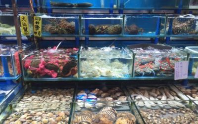 現(xiàn)在開水族館賺錢嗎知乎 水族館百科（水族館加盟） 第4張