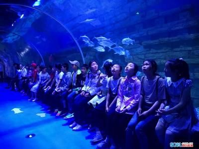 水族館背后的秘密（《詭異水族館》）