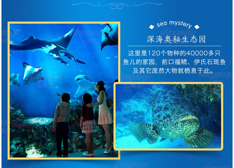 水族館背后的秘密（《詭異水族館》）