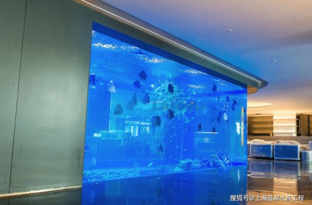 水族館魚缸定制（水族館魚缸定制是針對特定需求和空間進(jìn)行個性化服務(wù)） 水族館百科（水族館加盟） 第5張