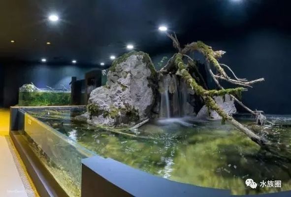 水族館內(nèi)巖石造景建議（水族箱巖石造景案例分享：水族箱巖石造景風(fēng)水講究） 水族館百科（水族館加盟） 第3張